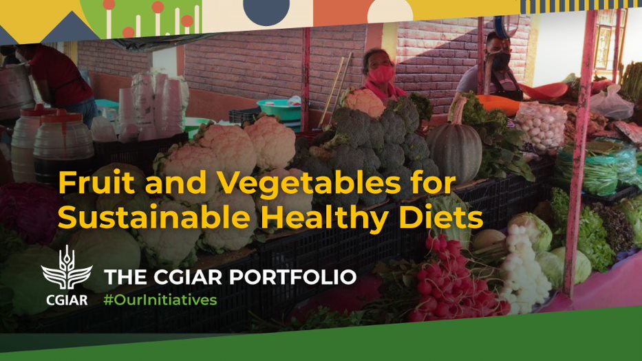 IFPRI tweet media