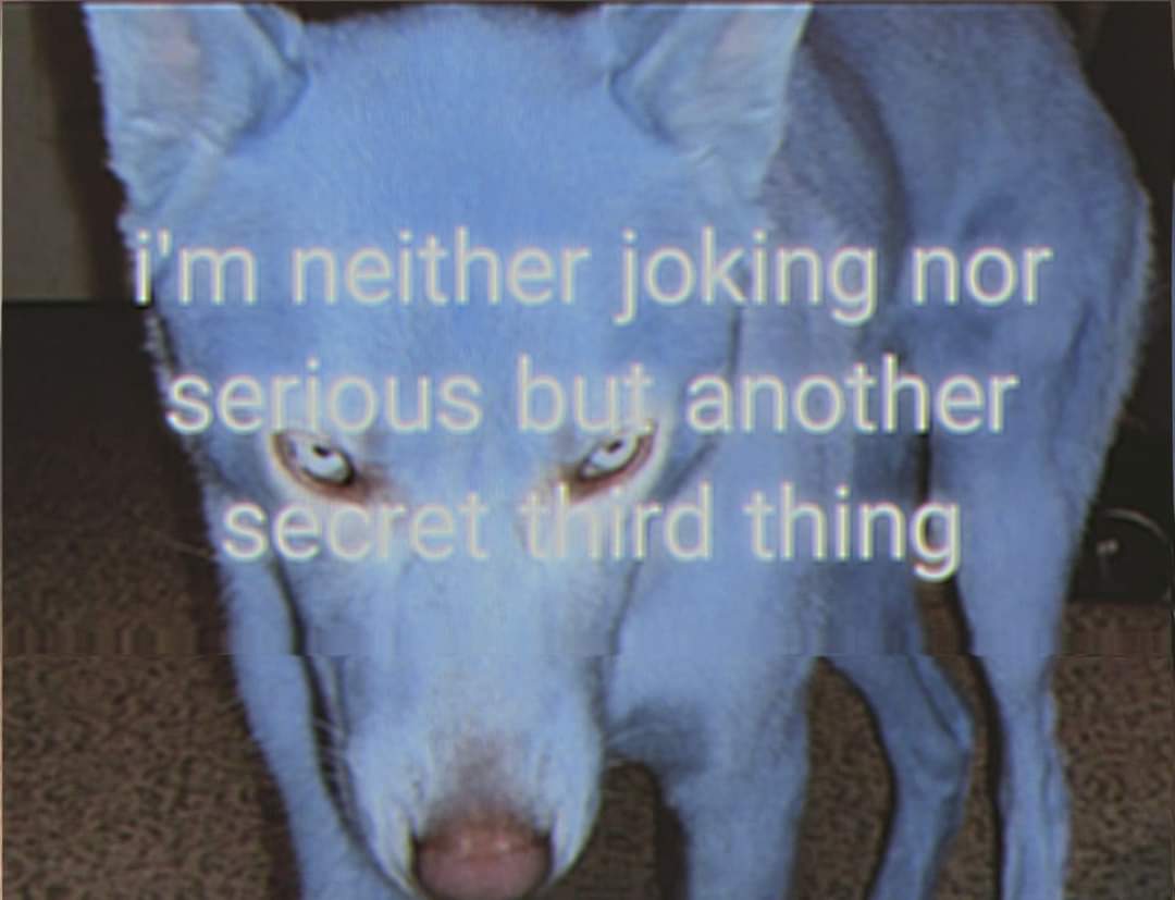 snafuqd's tweet image. 