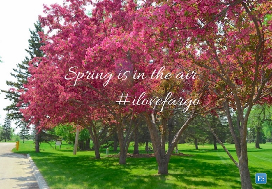 gofargosocial's tweet photo. "A little flower that blooms in May. A lovely sunset at the end of a day. Someone helping a stranger along the way. That's heaven to me." 
Sam Cooke  #HappySpring https://t.co/bigDudZVwx