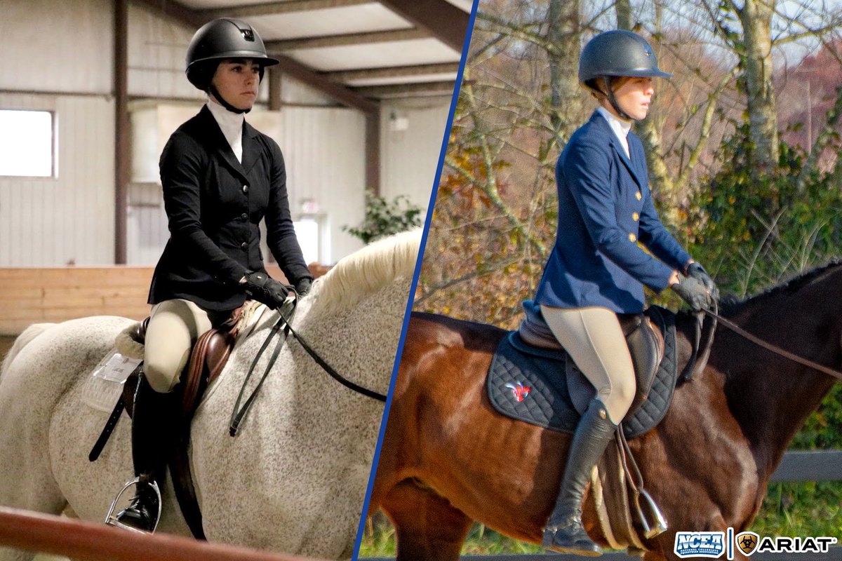 NCEA_Equestrian's tweet photo. We want to once again recognize the 2022 All-Americans.

 🏆 Ariat All-America
▶️ Flat Second Team

🐴Lilly Bove - 2-3, 1 MOP
🐴Sierra Gundersen - 7-1
🐴Trinity Hammerschmidt - 9-3, 3 MOPs
🐴Emma Kurtz - 9-4-1, 3 MOPs
🐴Sophia Pilla - 9-5, 3 MOPs
 
#NCAAEquestrian https://t.co/YG2xmrsl4K