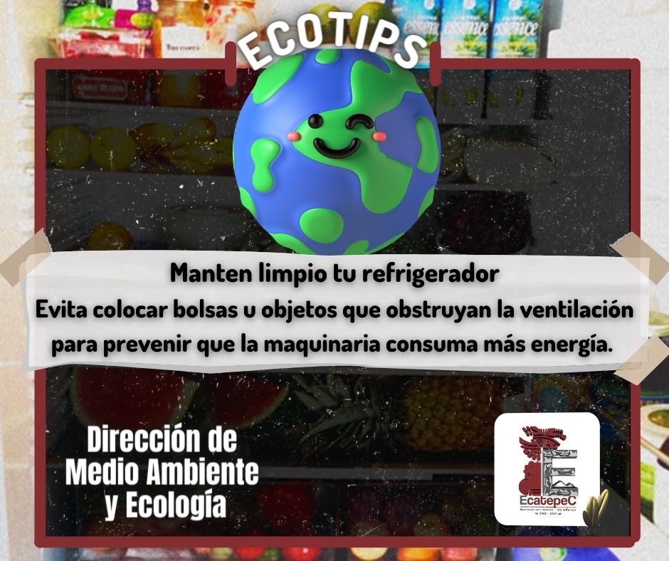 Dirección de Medio Ambiente y Ecología Ecatepec tweet media