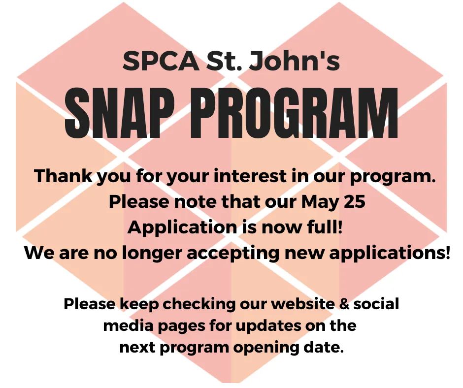 Due to an overwhelming response, please note that our May 25 Application is now full and we are no longer accepting new applications.

Please keep an eye out on our website and social media pages for updates on the next program opening date.