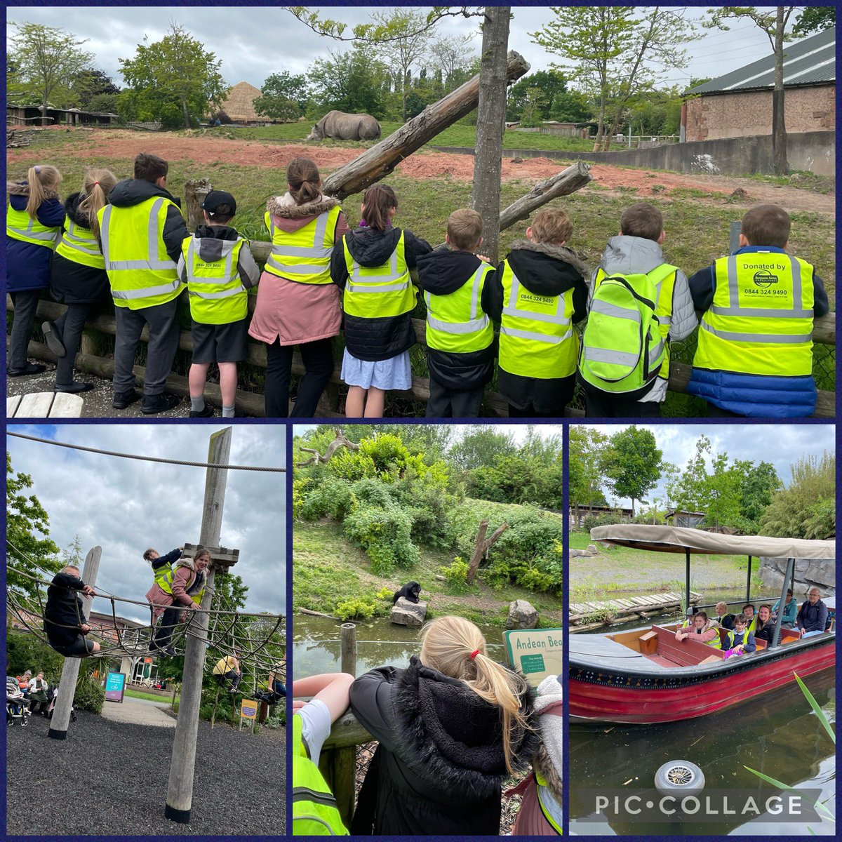 Mrs Thomson tweet media