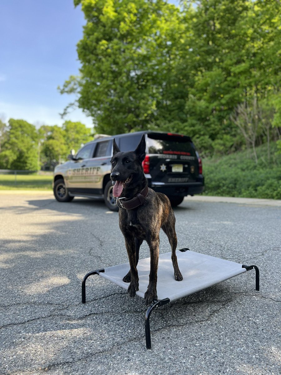 Arthur Stanlick Elementary School tweet media