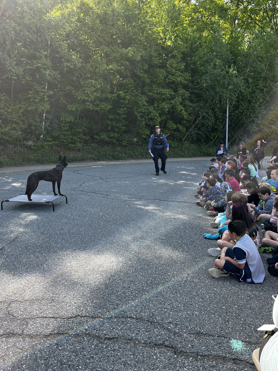 Arthur Stanlick Elementary School tweet media