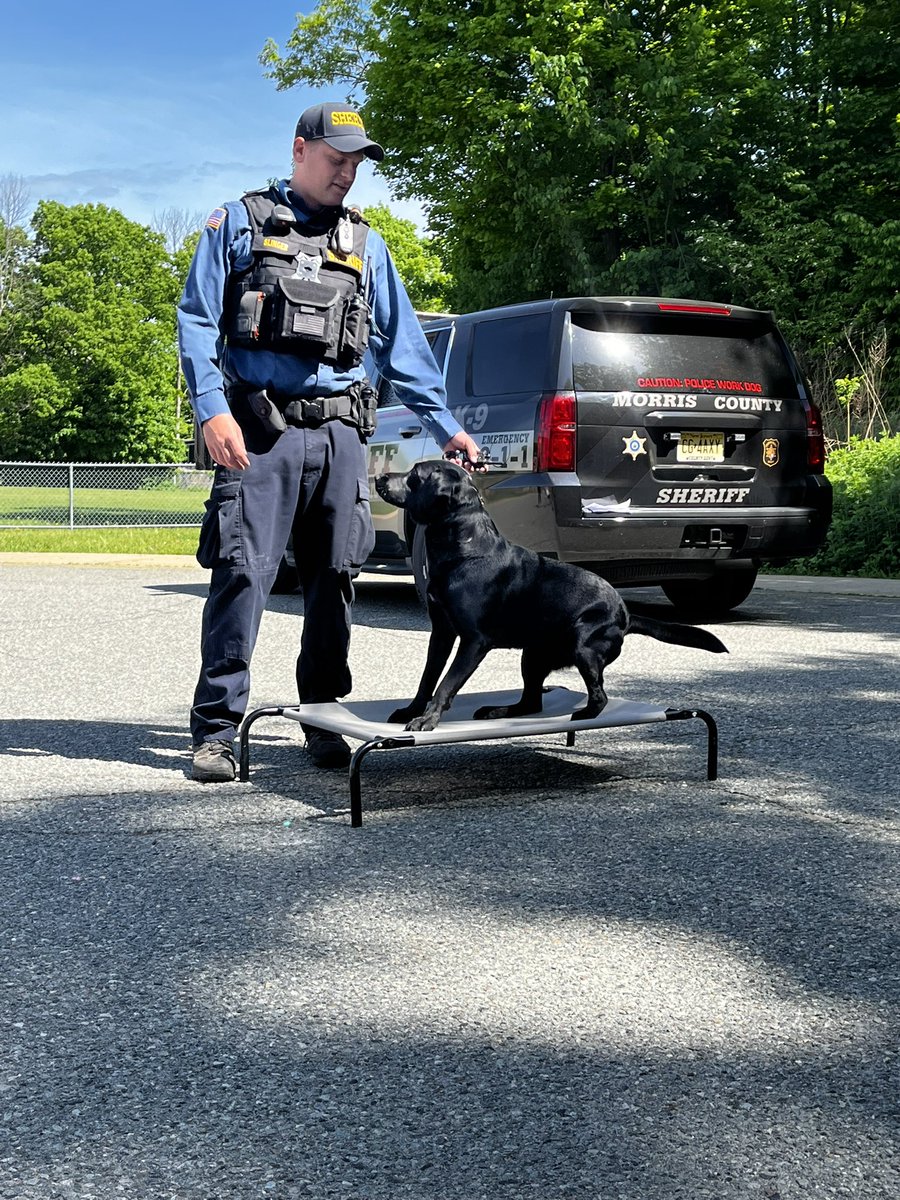 Arthur Stanlick Elementary School tweet media