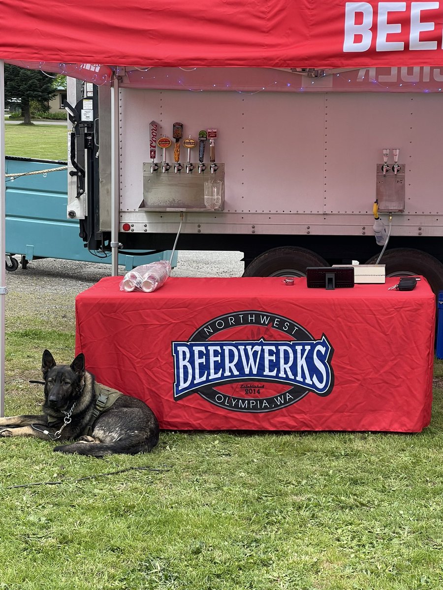 nwbeerwerks's tweet photo. The Bier Garden is open and ready! We will be here at the Packwood Flea Market Wednesday through Sunday from noon till ? 😉 Stop in for beer, cider, wine and a great time! #drinklocal #craftbeer #beer https://t.co/OI1Tyr6Tbh