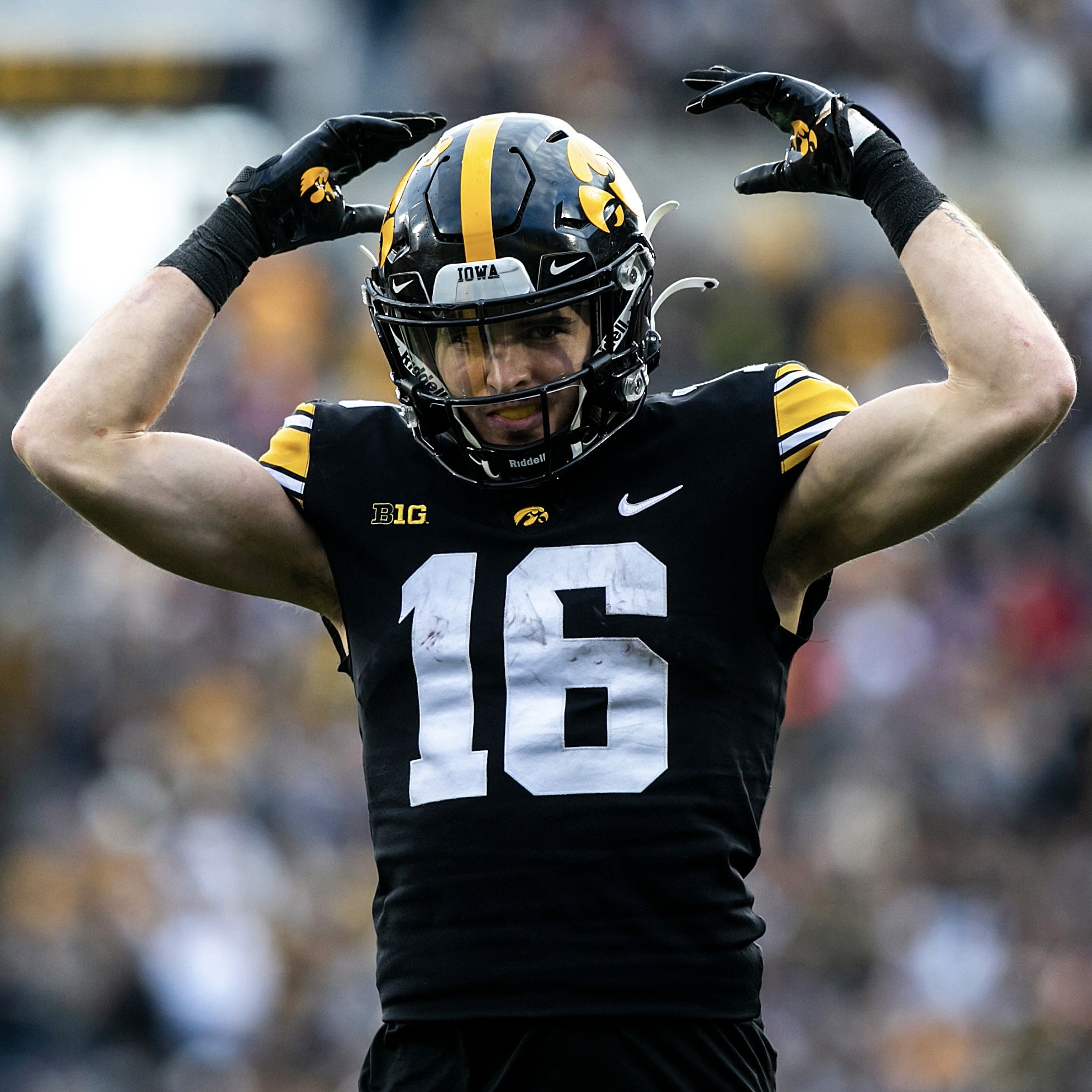 Pff Wr Corps Rankingsport Huron Craigslist Pets - tr3e3cd
