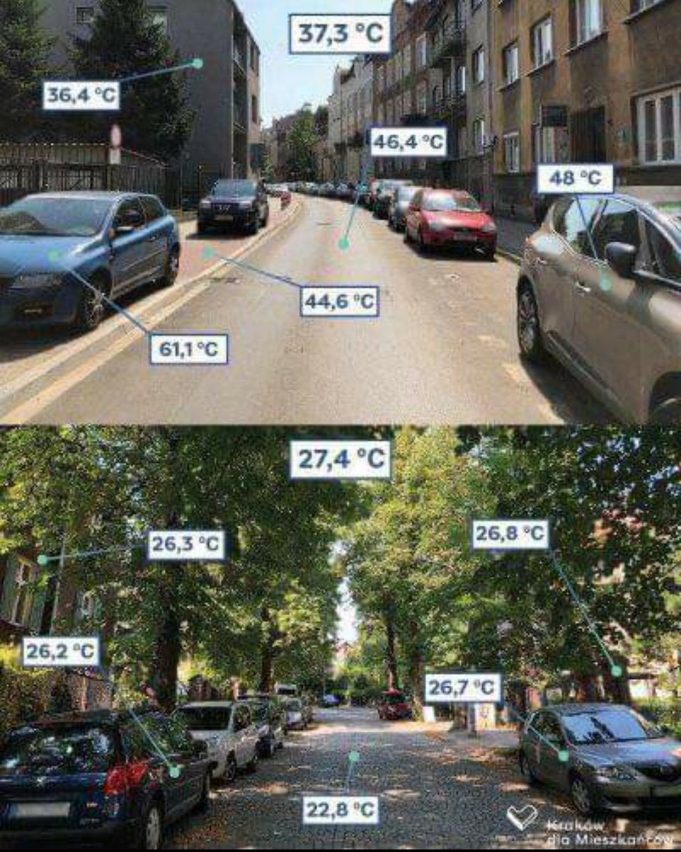 BougiKamel's tweet photo. Si vous ne comprenez pas d'où vient le problème alors c'est que vous êtes déjà foutu ☺️ https://t.co/Zqf8rpbEXO