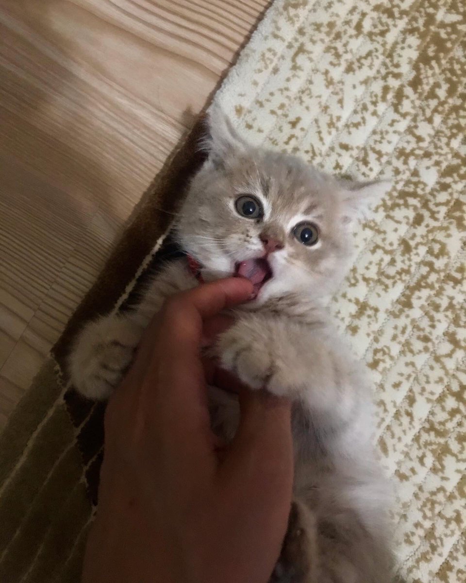 Yaramaz bebeğim 🧿