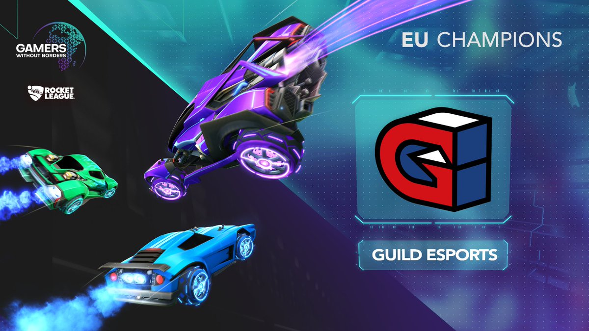 Gamers Without Borders tweet media