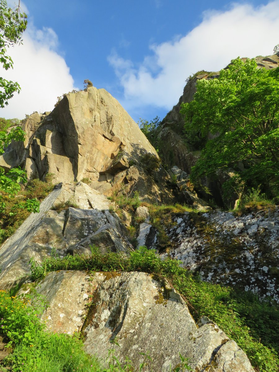 NiamhatMU's tweet photo. Change of scenery
#DalkeyQuarry
#GoneWalkAbout https://t.co/PTgl4nKuau
