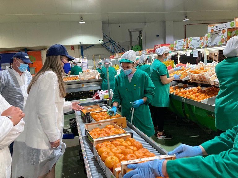VeranoDominguez's tweet photo. Acompañada de mi amigo, compañero y magnífico alcalde de Villarrasa, Arturo Alpresa, parte de la corporación municipal y del diputado provincial del @pphuelva, @adritaillefert, visito las instalaciones de la empresa Agrasur, perteneciente al grupo Frutaria. https://t.co/s565ohNbRw