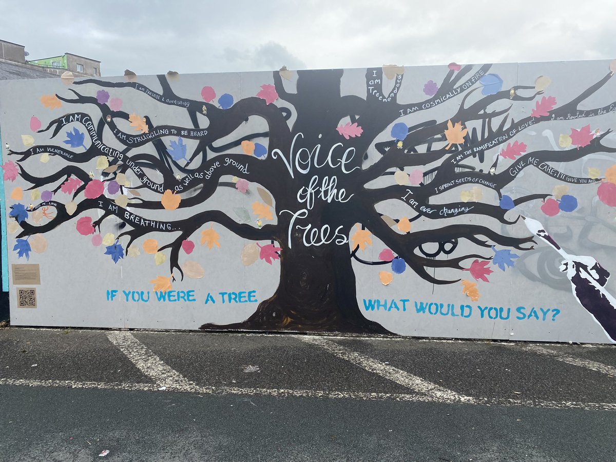 Patsy Atkinson (@copylines) on Twitter photo A little sparkle on the Lee today @100DaysOfWalkin …and Tree #3715 came to town <a href="/greenspacescork/">Green Spaces For Health</a> Street art by <a href="/headhandheart1/">Creativity and Change</a> <a href="/MTUgalleryat46/">MTU Gallery at 46 Grand Parade</a> #PureCork #200Crew #VoiceofTrees #SullivansQuay A little sparkle on the Lee today @100DaysOfWalkin …and Tree #3715 came to town <a href="/greenspacescork/">Green Spaces For Health</a> Street art by <a href="/headhandheart1/">Creativity and Change</a> <a href="/MTUgalleryat46/">MTU Gallery at 46 Grand Parade</a> #PureCork #200Crew #VoiceofTrees #SullivansQuay