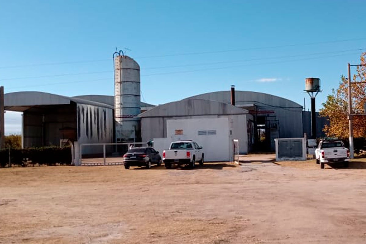 Tragedia en Quemú Quemú: dieron a conocer el nombre del joven que murió - infopi.co/17yk