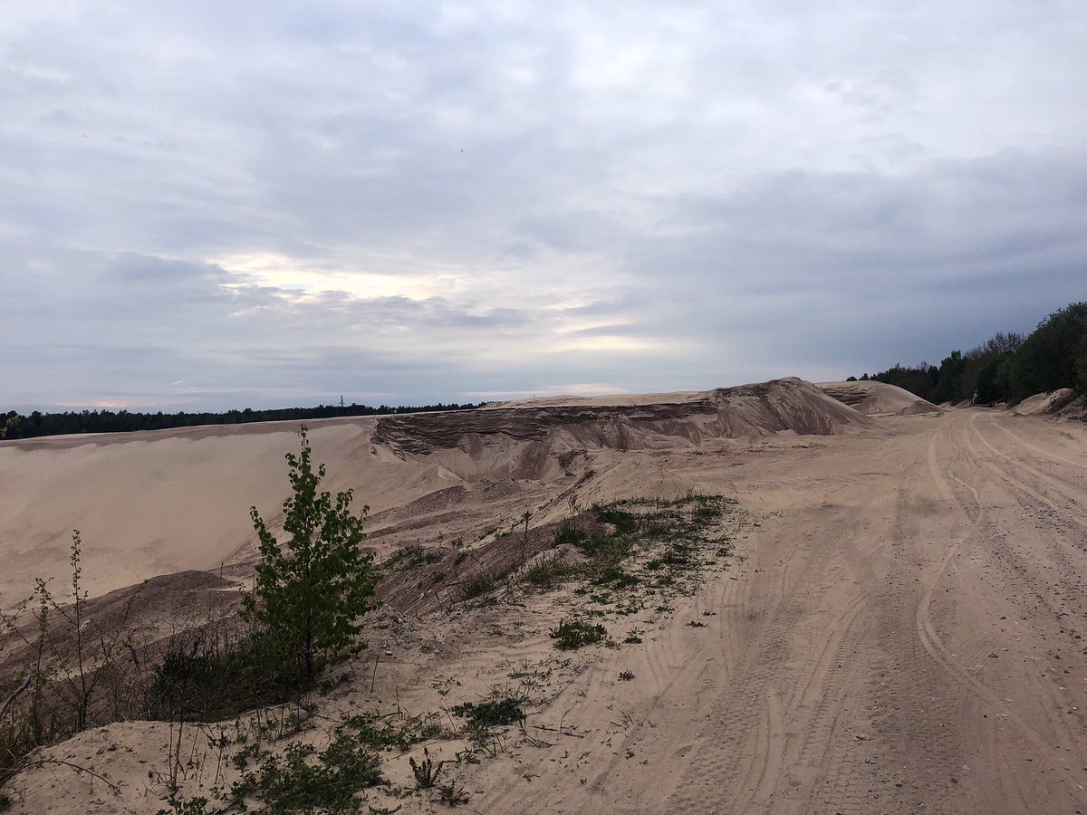 Samuheino's tweet photo. Tänään oli vähän hiekkaisemmat sorat, mut ei ollu autoja haittaamassa pyöräilyä. Eikä edes saatu vettä niskaan, vaikka sadetta oli luvattu.
#wng #wolfpacking #gravel #pyöräily https://t.co/tCzqaX0lqF