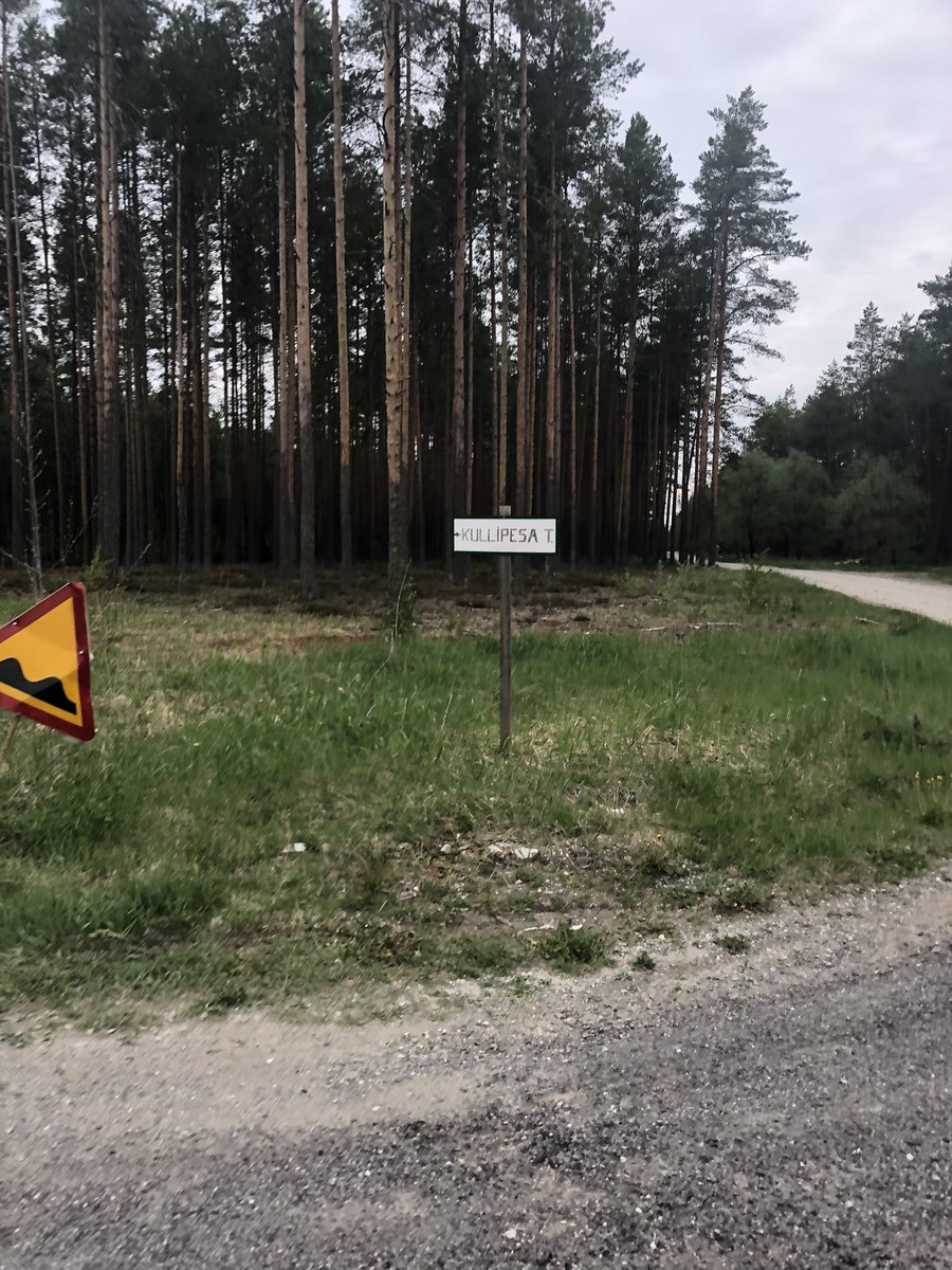 Samuheino's tweet photo. Tänään oli vähän hiekkaisemmat sorat, mut ei ollu autoja haittaamassa pyöräilyä. Eikä edes saatu vettä niskaan, vaikka sadetta oli luvattu.
#wng #wolfpacking #gravel #pyöräily https://t.co/tCzqaX0lqF