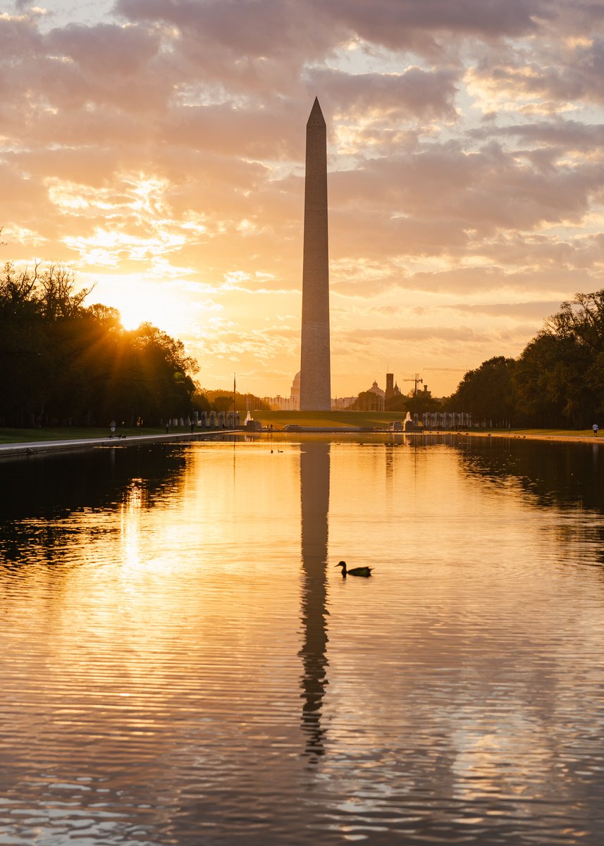 As their Whittle journey draws to a close, we are thrilled that our seniors will continue their next chapter at colleges and universities around the country and the world. We are proud to have educated and nurtured these students to be undaunted, creative, and bold.