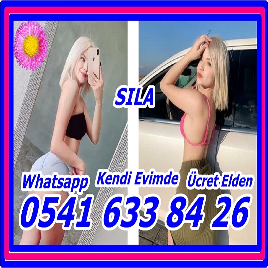 Yılmaz Filizay (@y_filizay) on Twitter photo 