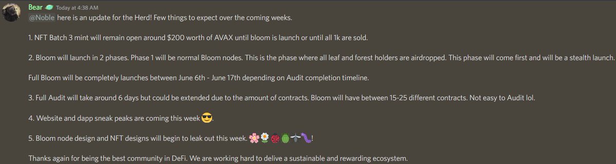 Bloomify 🌸 tweet media