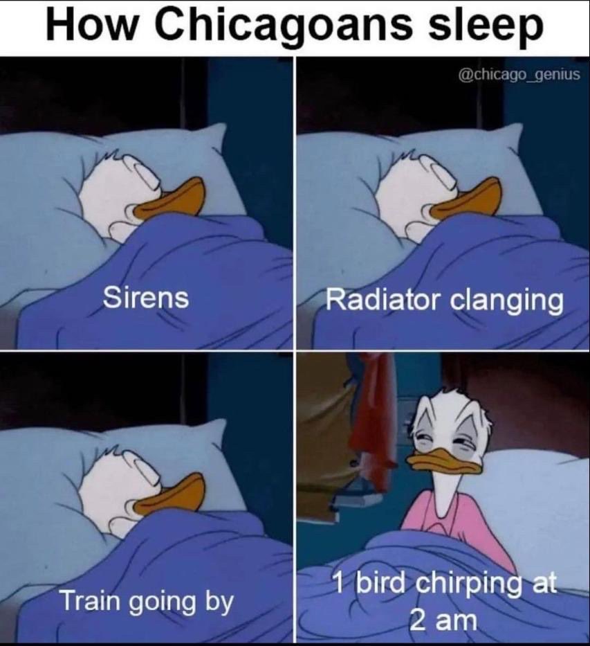 Is this you?

#ChicagoHistory ™️