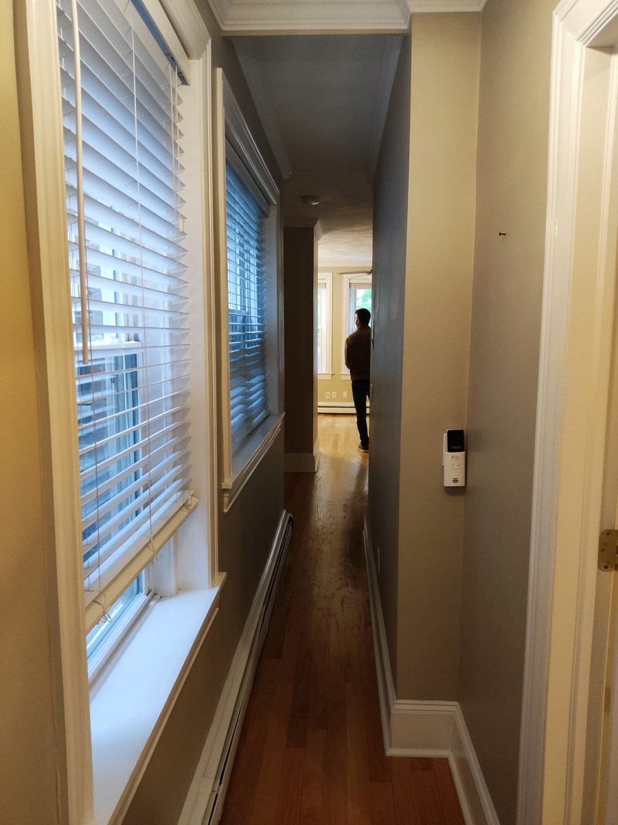 Kaiserlich87's tweet photo. after a long day looking for a good place to stay for the #cameogang, the #monkeydeo is a little desperate 🙈 what do you think of the first #impressions 😱 #NFTCommmunity https://t.co/A2AyviERaL