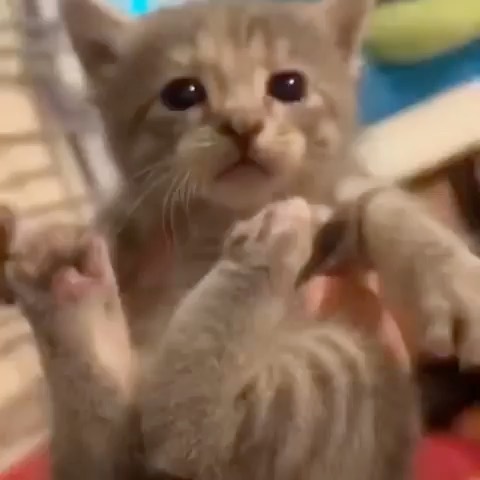 srmdasim's tweet photo. #أنقذوا_الطلبة_المتميزين
i dunno what's going on, i just woke up https://t.co/NYxomoJ00E