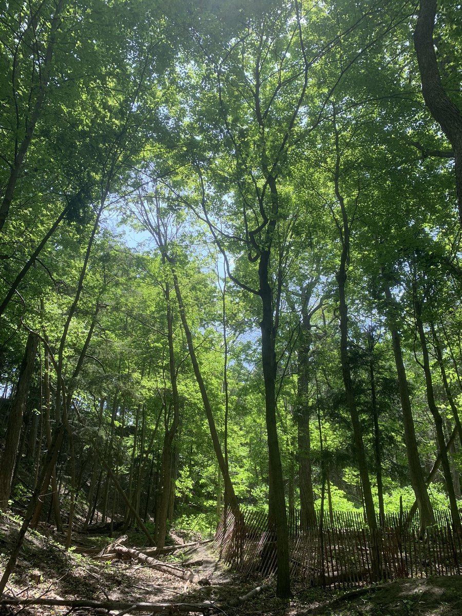 msplumley's tweet photo. Feeling grateful to be listening to Elder Dr Duke Redbird this morning while surrounded by friends; “Love Mother Earth in a way that makes her happiness connected to your happiness”! https://t.co/EEsHjOvlWv