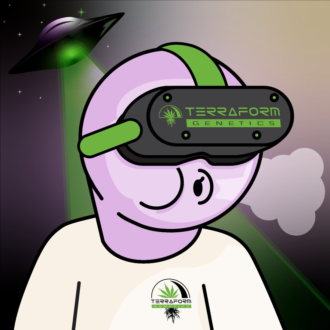 IMMERSIA BUDS tweet media