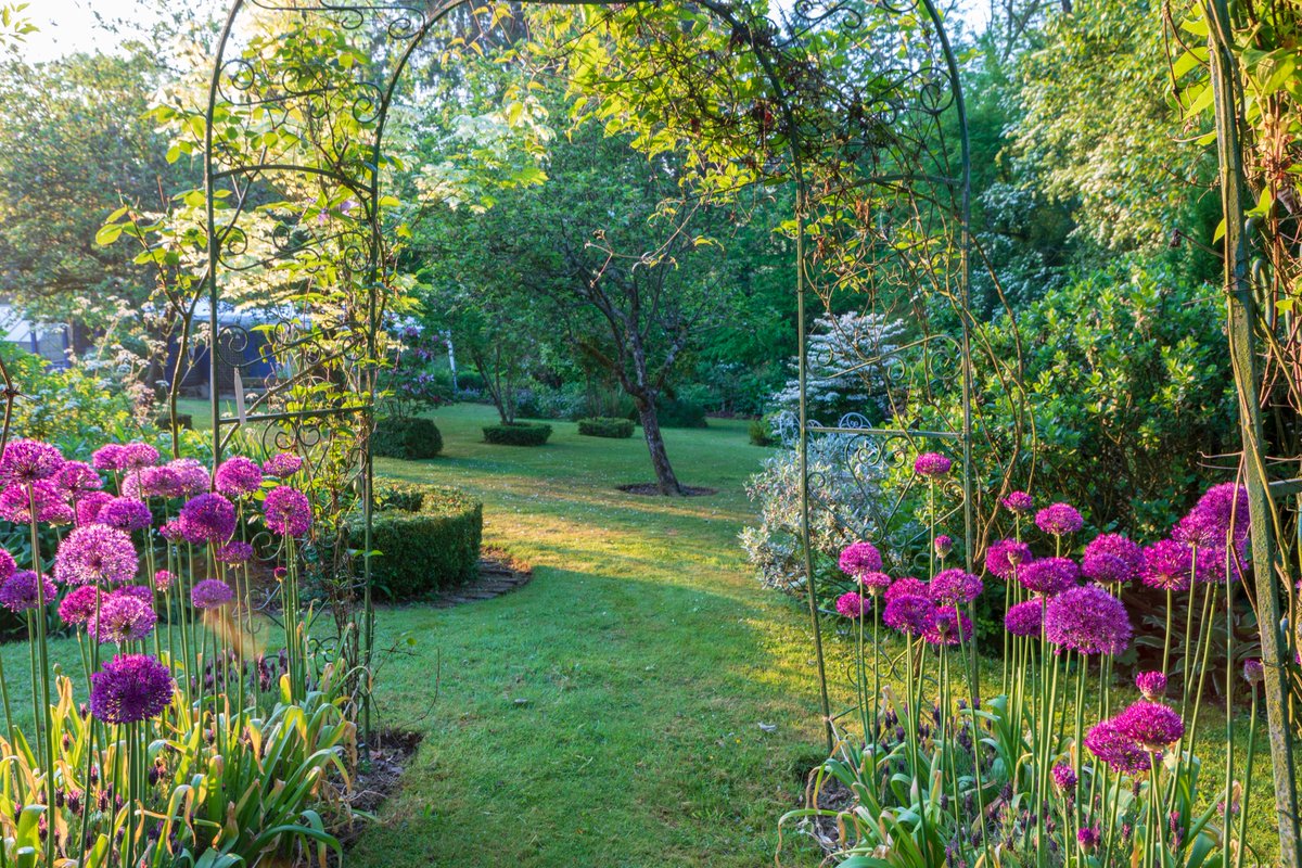 LEWISPLANTS's tweet photo. We’re open this weekend! Come &amp; enjoy a gentle stroll round a beautiful garden, pause for delicious cake &amp; tea then fill your car with plant goodies!Here’s how to find us https://t.co/iZB4d3tona we look forward to welcoming you to the garden! #ngsgarden #lewiscottageplants https://t.co/WZNmGFPQPL