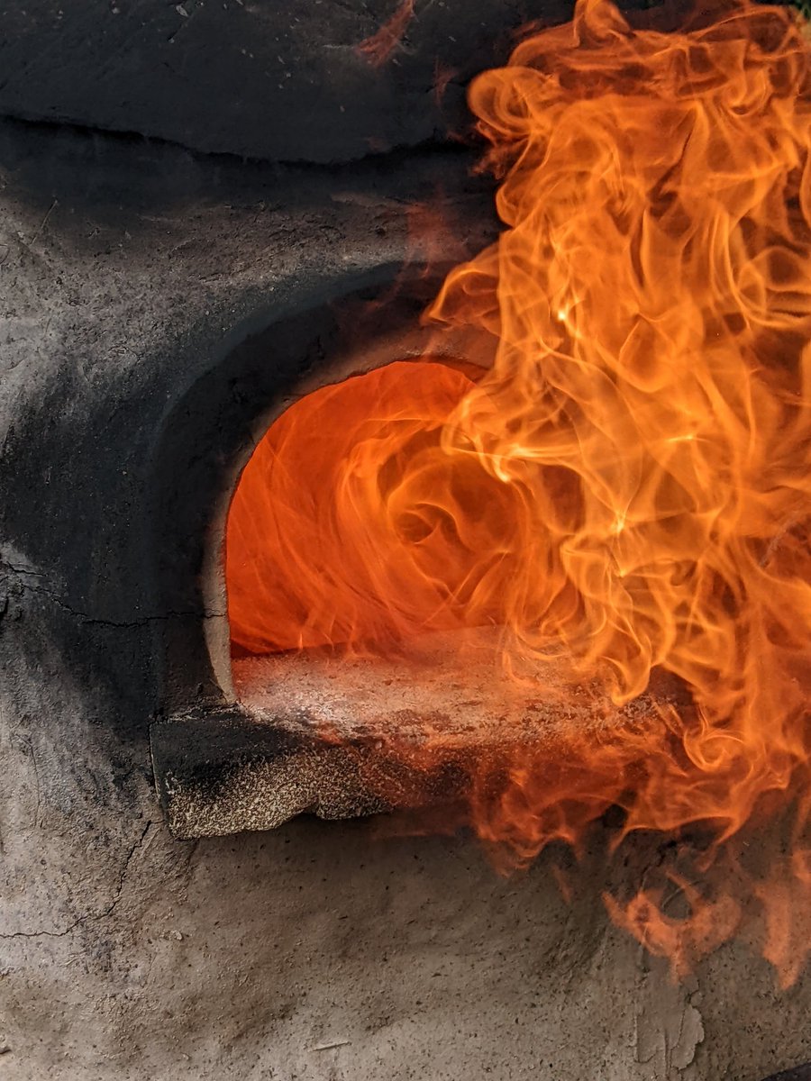 Dr Camilla Bertini tweet media