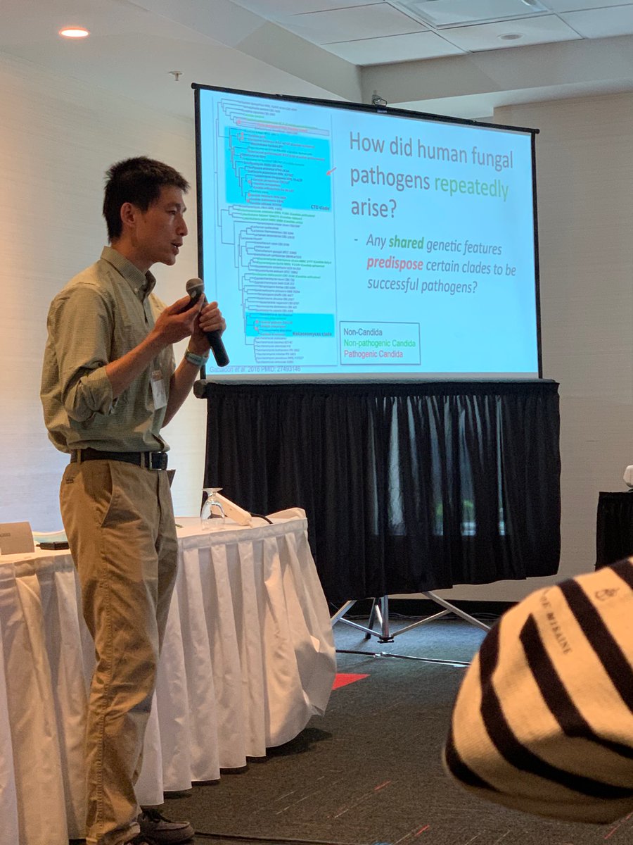 Rounding out an excellent first day of #SMBEfungal2022 with <a href="/BinheLab/">Bin Z. He</a> asking the big questions - how did human fungal pathogens repeatedly arise? <a href="/evofunpath/">@EvoFunPath</a> <a href="/OfficialSMBE/">Society for Molecular Biology and Evolution</a>