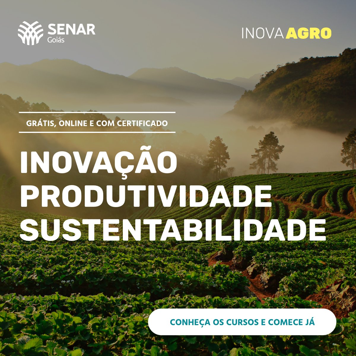 SistemaFaeg's tweet photo. 🌎 Com os benefícios da #Agricultura de Baixo Carbono, o planeta vai mais longe!
📚 O #PlanoABC Cerrado busca reduzir os impactos ambientais e a emissão de gases que causam o efeito estufa.
Saiba mais com cursos gratuitos do Senar Goiás: https://t.co/kkJafVPHca
#INOVAAGRO https://t.co/tchmpy5PXK