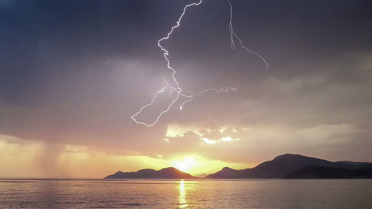 Dan Portch ⭕ tweet media