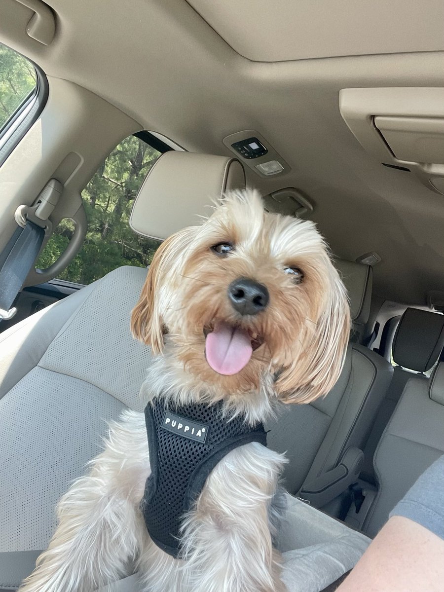 TeamEvans919's tweet photo. Happy Birthday Rico Suave!  #4 ♥️🐾 https://t.co/p0k2BJvpHY