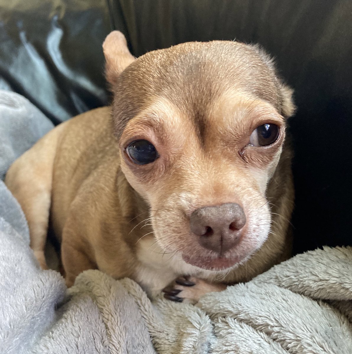 My mama was walking out of the grocery store when she saw an older lady fall on the asphalt. She ran over and asked her alot of questions and applied pressure to the ladies finger, it was bleeding. She called 911 &amp; stayed w/her until EMT came. Prayers for the lady that she is ok.