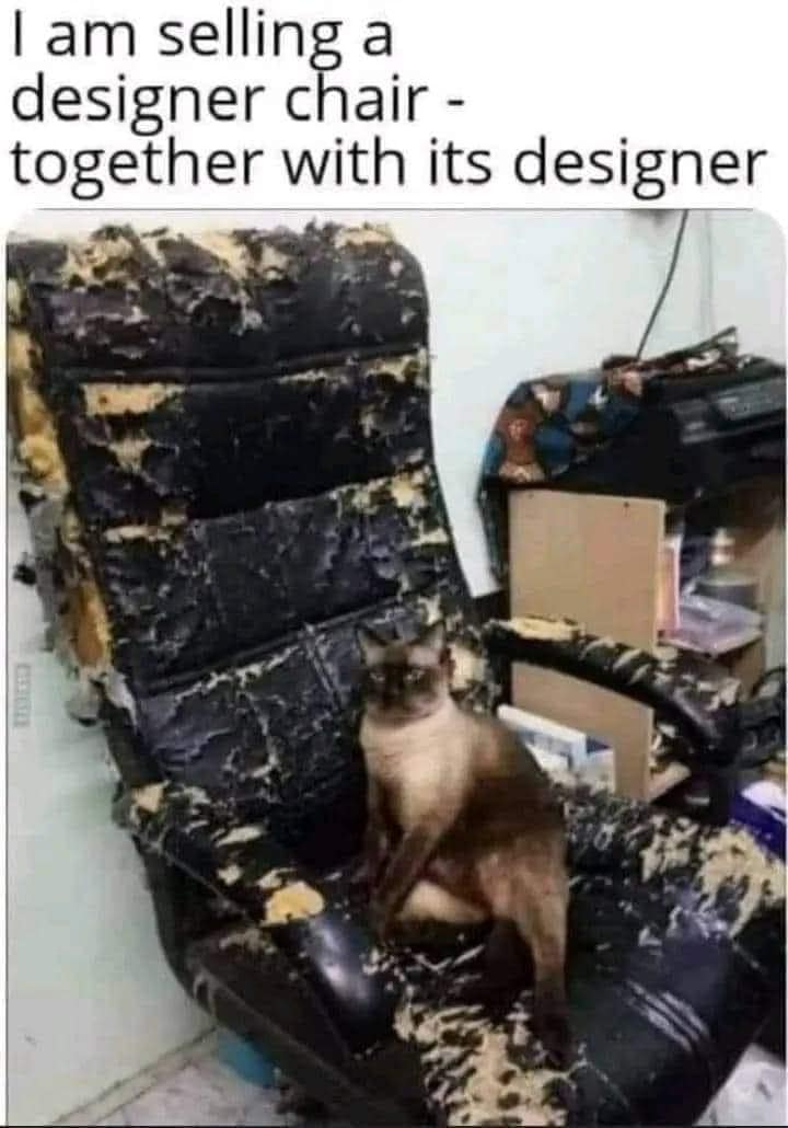 RLTVLive's tweet photo. The cost of owning #cats. The furniture definitely suffers.

#Tuesdayvibe #tuesdaymotivations #BoomersTV https://t.co/3U8Cc7dcck