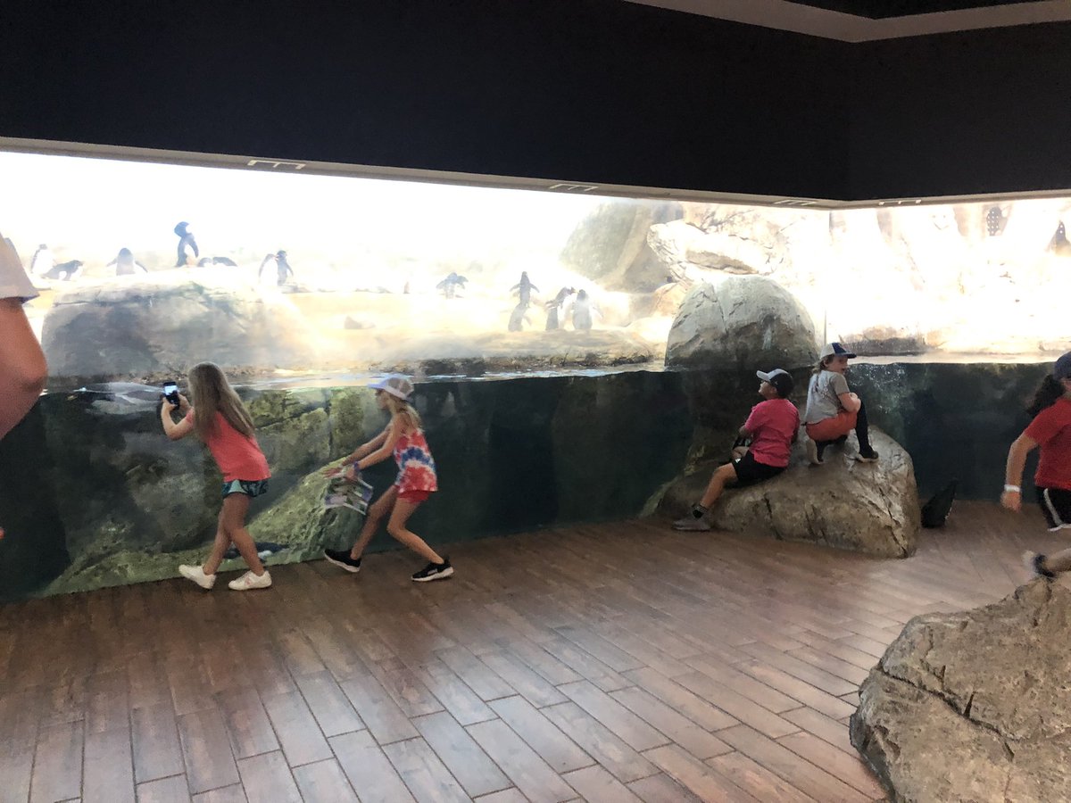 4th grade had a blast at the Riverbanks Zoo today! #cesaviators <a href="/CESAviators/">Centerville Aviators</a> First field trip since 2019!