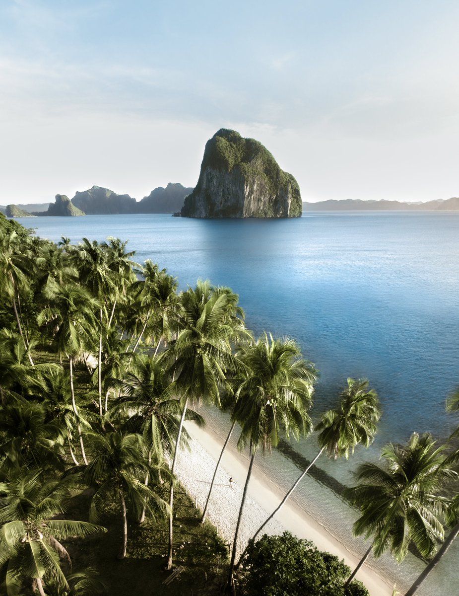 MerrWatson's tweet photo. A tropical Gm from one of my favorite  places on earth 🌴 https://t.co/ENu2T8MWdM
