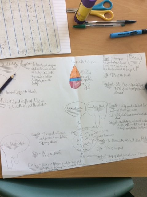 Lakeside_school's tweet photo. Y6LG have been learning about all things blood! I wonder who can guess what the practical activity is helping to teach? #bringinglearningtolife #bloodwork #nhs #snapscience https://t.co/NpvaHrz3k6