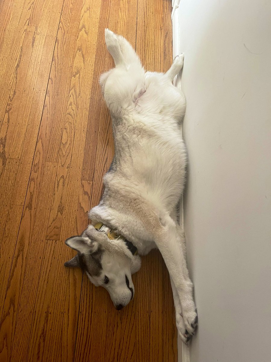 Yoga much?