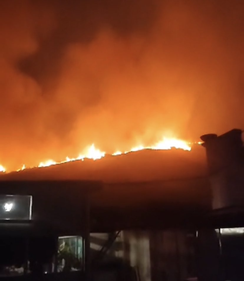 calabriaonline's tweet photo. L’uomo è davvero una bestia cattiva e stupida, oltre 5 ettari di macchia Mediterranea stanno bruciando per via di un incendio 🔥 appiccato volutamente (poi sfuggito di mano) al fine di creare le condizioni ottimali per girare delle scene 🎥 per un film. #Stromboli 🌋 #Rai #Italia https://t.co/CQQ7oCSOoX