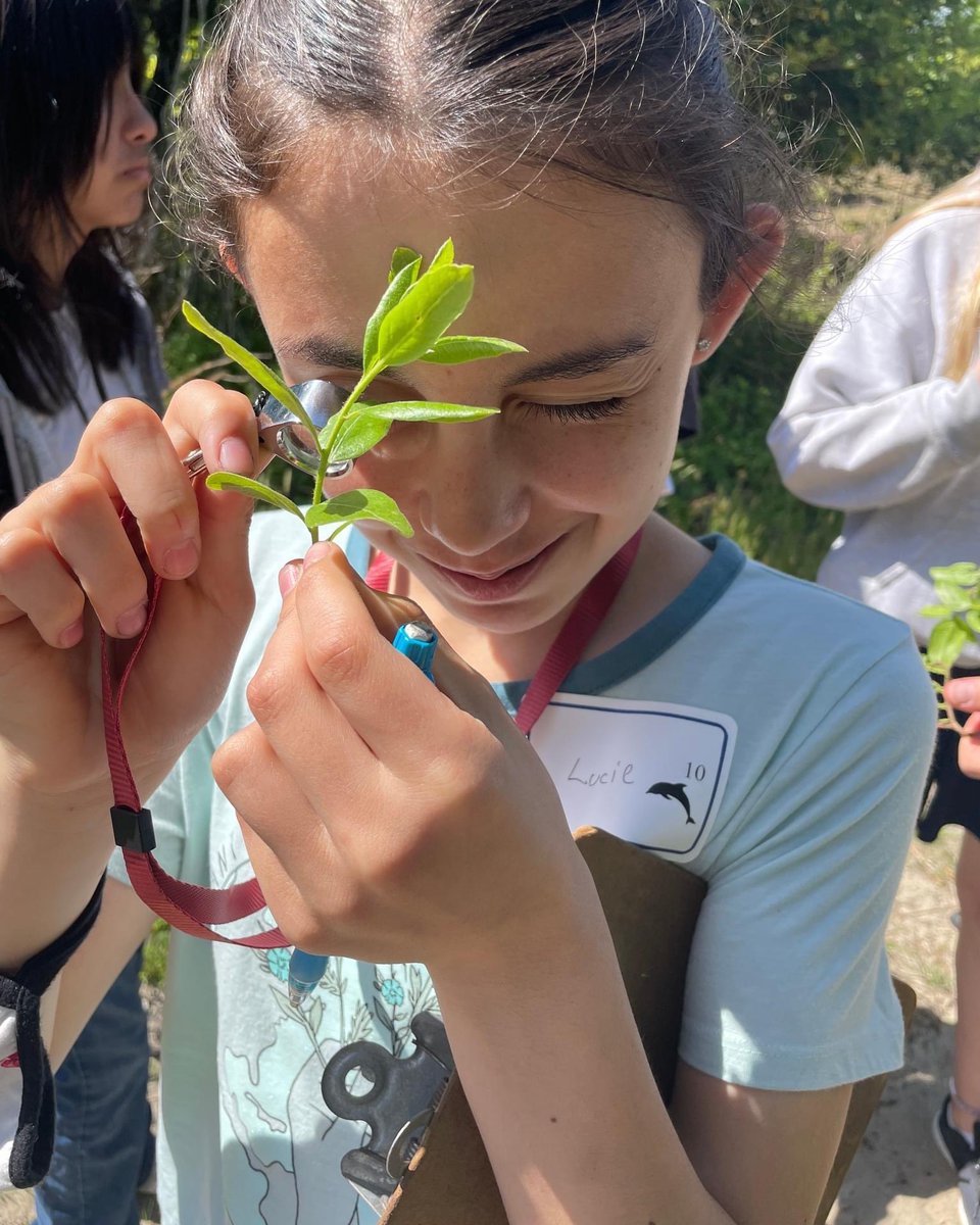 unitycharter's tweet image. .@unitycharter Our 6th graders are at Gateway National Park today exploring plant life and discovering resin dots on a Bay Berry plant! #unitywolves @NJPCSA @CharacterDotOrg @Sustain_Motown @SJ_Program @MorristownTAP
