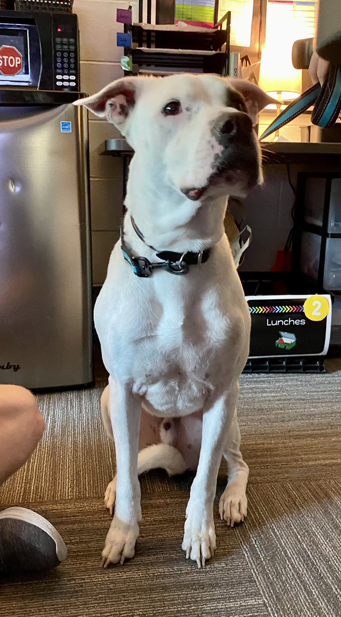 Jenny Wordell tweet media