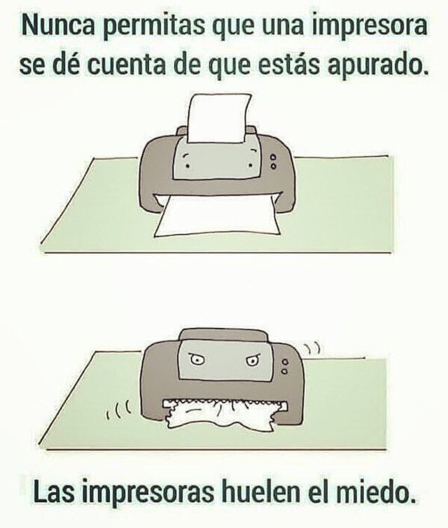MexicoNeomer's tweet photo. ¡Cuidado! ¡Ellas huelen el miedo y la prisa! 🤣🤣🤣😅 Y los fines de mes, y las quincenas… 🤪😜 https://t.co/Is2Wj2DzVA