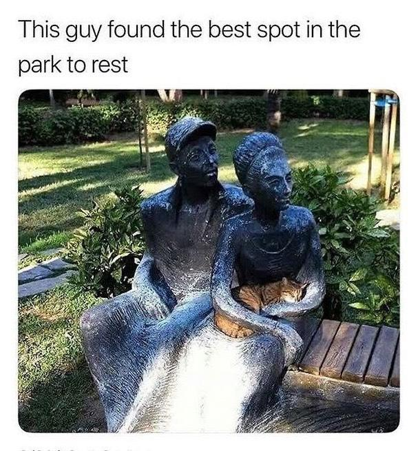 WholesomeMeme's tweet photo. https://t.co/FtDtalCmc1