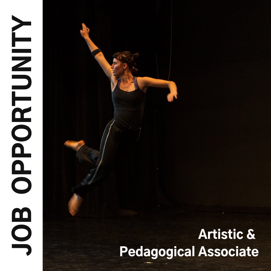Dance Arts Institute tweet media