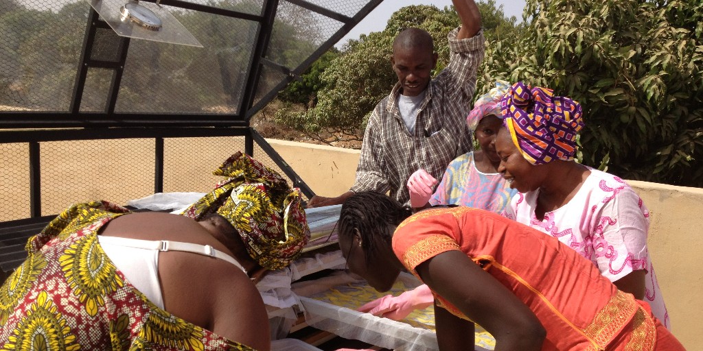 PeaceCorps's tweet photo. On #AfricaDay, we celebrate the Organisation of African Unity and socio-economic achievements of Africa! 🌍

This year's theme is nutrition and food security. From farming to community gardens to malnutrition, #PeaceCorps Volunteers work with partners to address food security. 🌍 https://t.co/9DSOhmg9OA