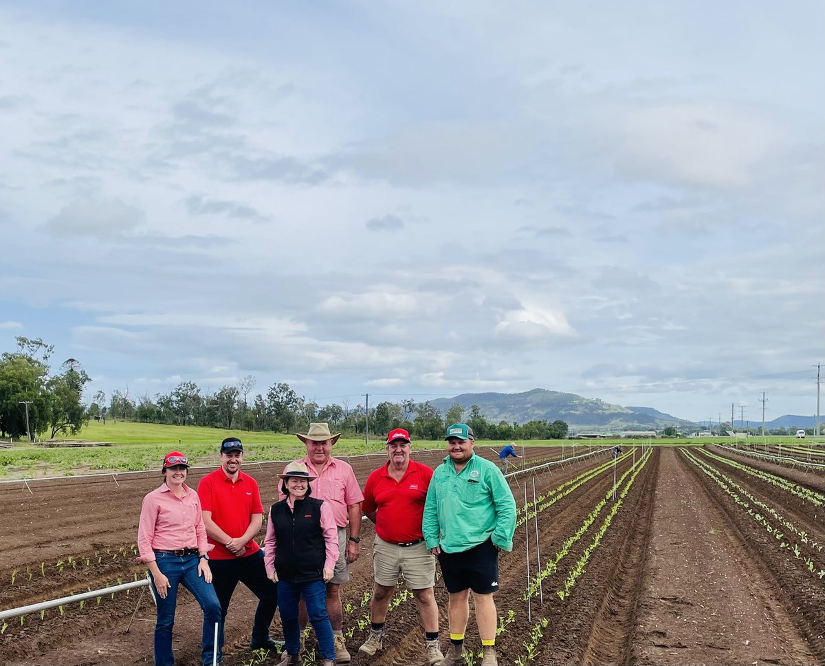So proud to work with this team on our <a href="/EldersLimited/">Elders</a> Horticulture Technology site. They rolled up their sleeves and did the work to get this to happen. Thanks to our farmers for their support also. Finding new solutions to produce better food for #Australia.