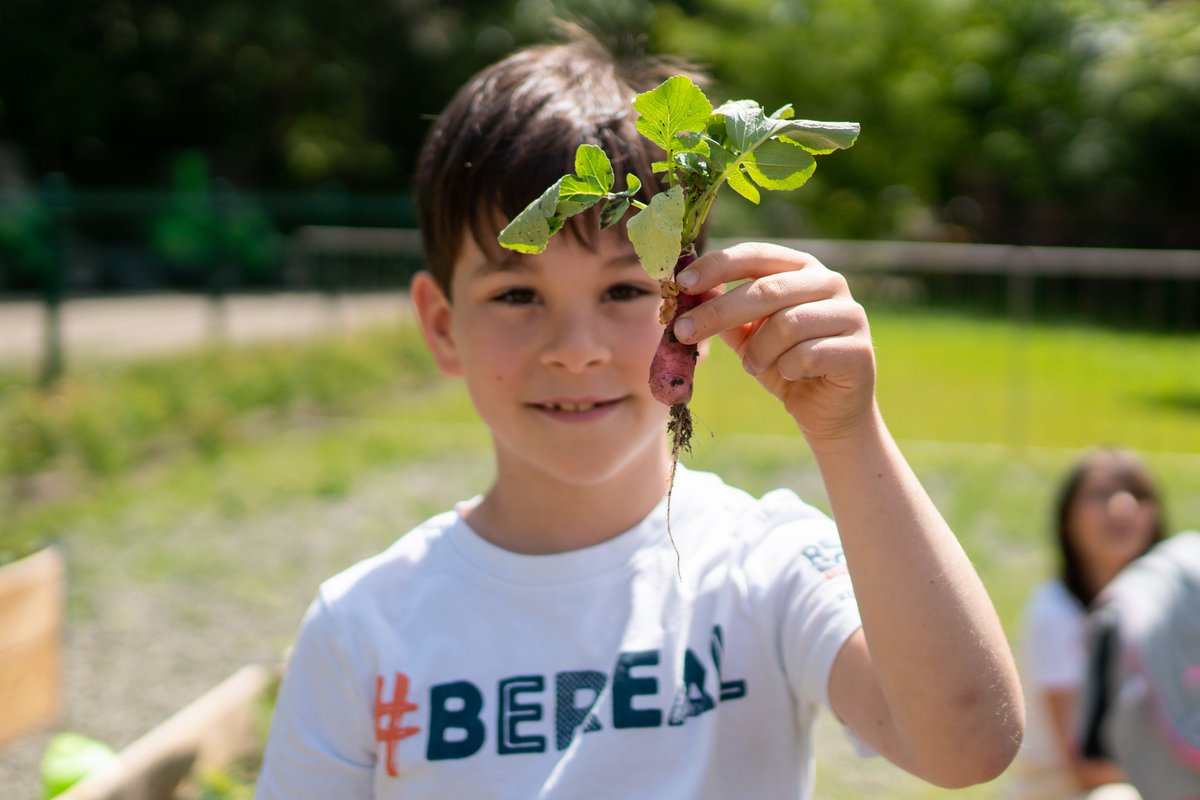 REAL School Budapest tweet media